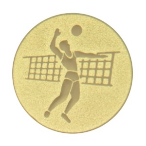 emblém volejbal muži 005