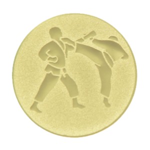 emblém karate 029