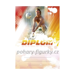Diplom beach voleyball 6633