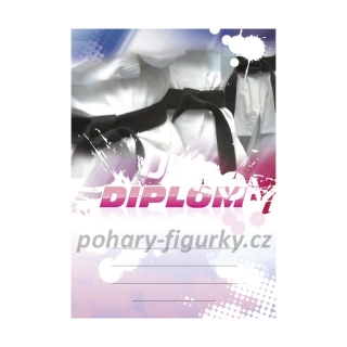 Diplom bojové sporty 6658