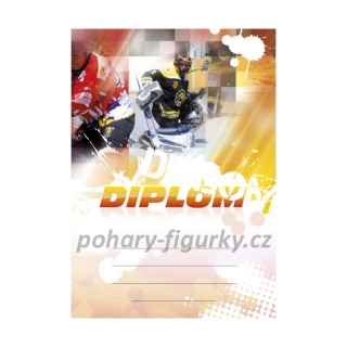 Diplom hokejbal 6612