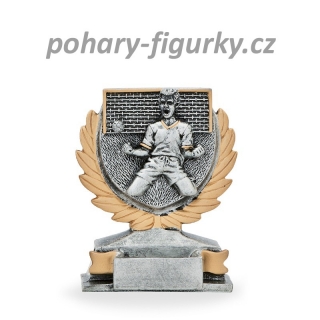 Fotbalová plaketa gól 22636