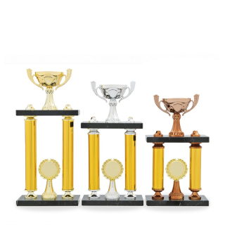 Sloupový sportovní pohár 24500