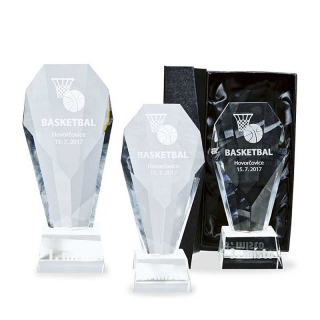 Skleněná trofej v dárkové krabičce 28045