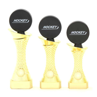 Sportovní trofej hokej 16027