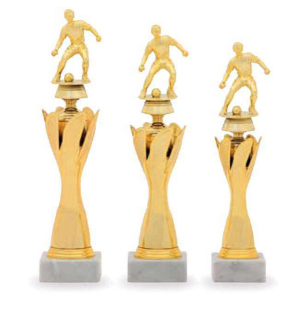 Trofej edice fotbal 32509