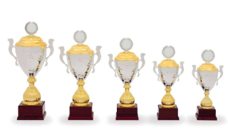 Sportovní pohár luxus 35000