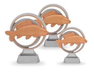 Trofej ryba kapr 26062