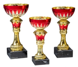 Sportovní pohár FRANZISKA 40260